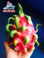 DRAGON FRUIT - PURPLE FLESH