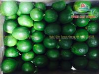 Fresh Lime Seedless