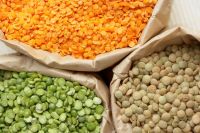 High Quality Red and Green (Lentils)