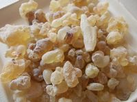 Frankincense Olibanum