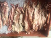 Selling South America Dried Fish Maw/Sea Cucumber