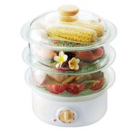 food steamer, steamer, steaming cooker