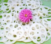 FROZEN  LOTUS ROOT