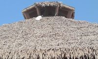 New artificial thatch roof tile