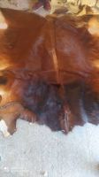 Animal Skins, Cow Hides, Goat Hides