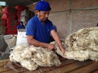 Dried Donkey Hides/Goat Skin