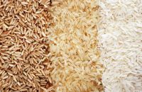 All kinds of Rice