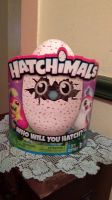 NEW Hatchimals Egg BEARAKEET Hatchimal Target