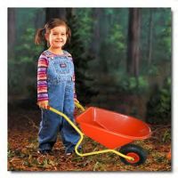 plastic kids garden tools wheelbarrow WB0208