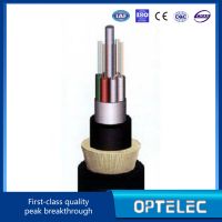 All-Dielectric Self-Supporting Optic Fiber Cable G652D type (ADSS cable)