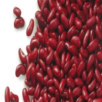 Kidney Beans