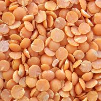 Lentils