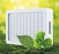 300W Full Spectrum LED Grow Light for Plant Growing