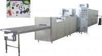 Chocolate Moulding Line