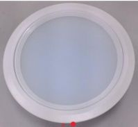 LED Down Light