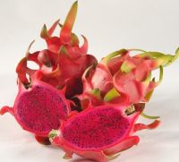 Vietnam Red Flesh Pitaya Fruits