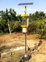 Solar Self-clean Insect Killer