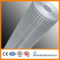 Fencing net iron wire mesh 1/4 inch galvanized welded wire mesh for construction