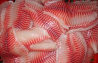 Frozen Tilapia Whole Round Fish