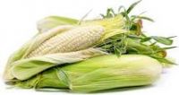 White Corn