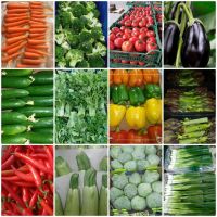 Fresh vegetables