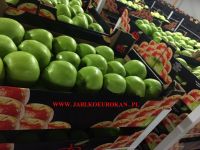 Polish apples from the manufacturer, Red Prince, Gala, Ligol, Golden, Ruby Star, Mutsu, Idared, Lobo, Shampion, Gloster, Jonagored, Cortland, Jonagold.