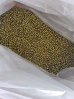 NEW CROP Green Mung Bean