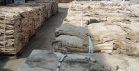 DRY &amp; WET SALTED DONKEY SKINS / HIDES, COW, GOAT, BUFFALO, RABBIT, SHEEP, HORSE  SKINS/HIDES