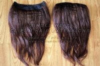 Single Weft Clip-in Hair Extensions