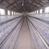 agriculture farming breeder equipement broiler chicken raising cage 