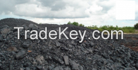 Steam/Thermal coal