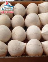 BEST SELLER VIETNAMESE FRESH COCONUT