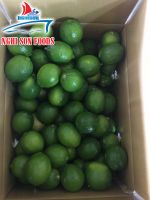 Fresh Seedless Lime