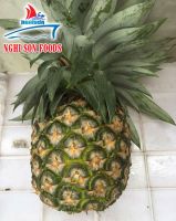 Fresh Pineapple