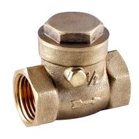 Brass Swing Check Valve