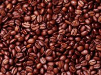 Cocoa Beans