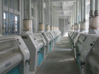 Wheat Flour Mill