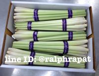 Fresh lemongrass