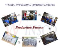 PVC Air Blown Women Slipper WINSCO1523+11