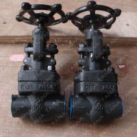 Thread NPT forged steel A105N gate valve 800lb