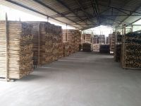 WOOD POLE(+84 987 635 199)