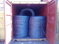 steel wire/ wire rod coil