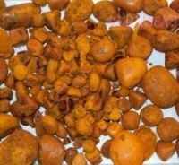 Ox And Cow Gallstones 100% and broken stones