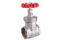 Stainless steel gate valve