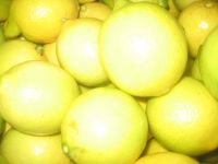  Fresh Navel and Valencia Oranges, Fresh  Golden delicious Apple and Fresh lemon