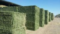 Alfalfa Hay, Animal feed, Chicken feed, Dog feed, Cattle feed, Horse feed, Pig feed, corn meal