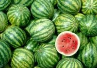 Water Melon