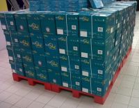 Original Double A A4 80 GSM Copy Paper / Thailand Brands