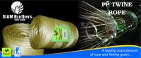 Polyethylene (PE) Twine --- CHEAP and HIGH QUALITY