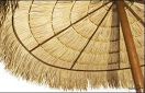 Thatch umbrella